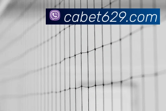 ca亚洲城品牌故事